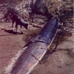 Leg 00112 - Cold Slurry Pipeline